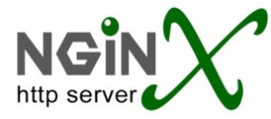 Nginx servidor